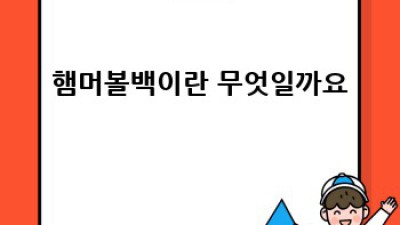 햄머볼백 완벽 가이드: 종류, 선택, 관리까지!